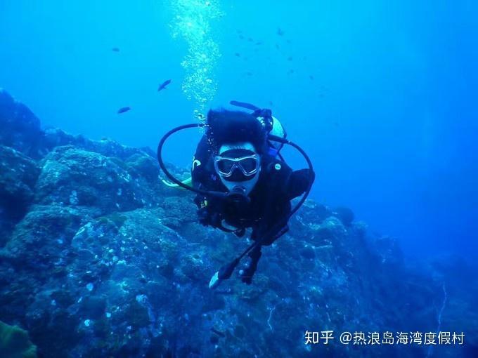 沪江开心词场