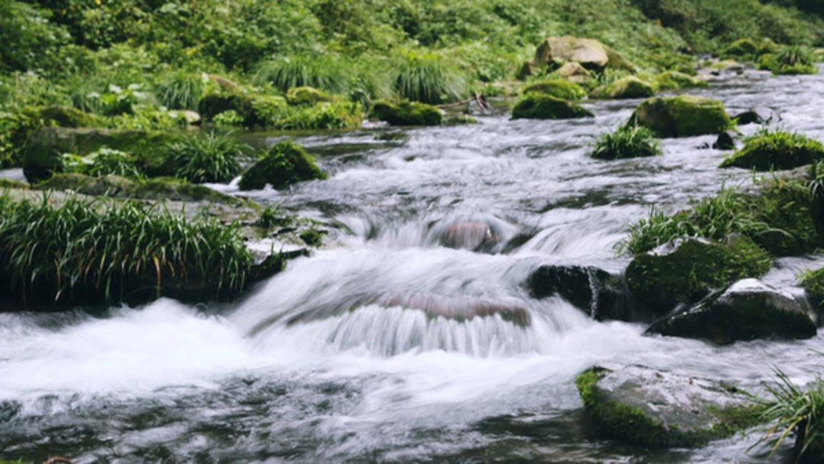 原神阿陀河谷观景点